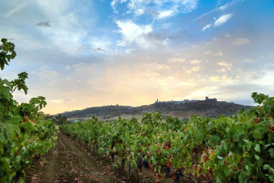 Full-Day Private Cultural Tour in Evora and Monsaraz - Évora Old Town: How to Use Your 2 Hours