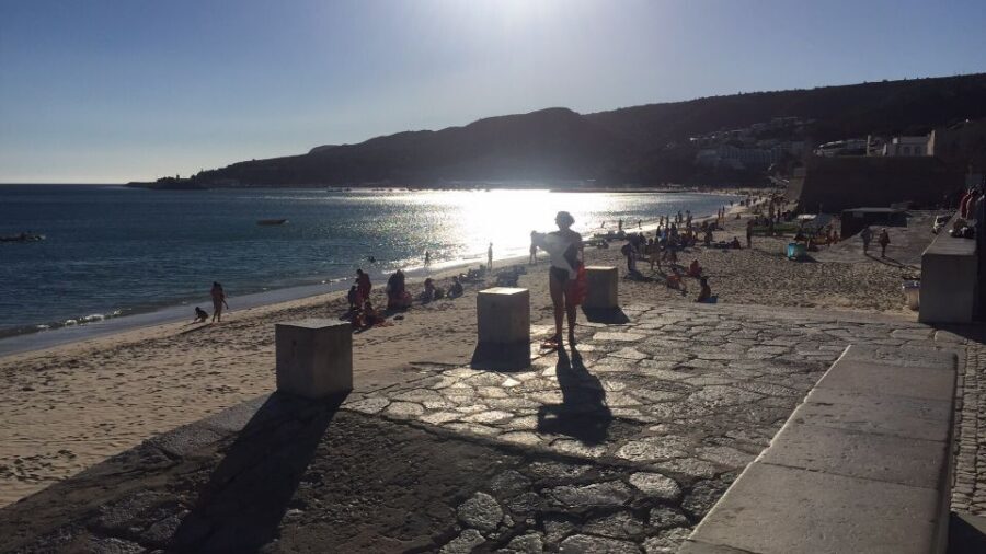 Full Day Private Wine Tour in Arrabida - Who this Arrábida wine tour fits best