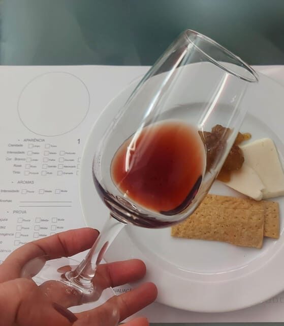 Golden Era of Évora walking & the portuguese wine tasting. - Pace, comfort, and logistics you should plan for