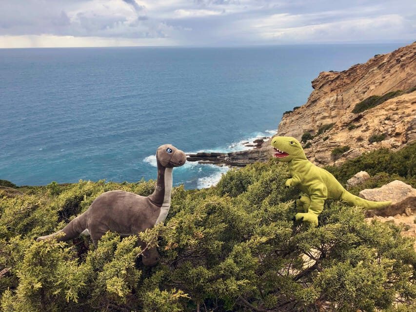 HIKING around Lisbon: Jurassic Dinosaur Trails of Espichel - Price and value: what $116 buys you