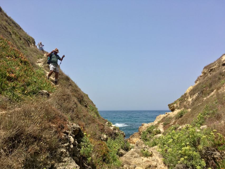 Hiking Tour Along the West Coastline - Key points to know before you go