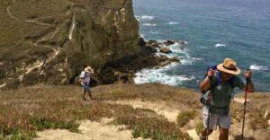 Hiking Tour Along the West Coastline - What $118 really buys you (guide, transport, and insurance)