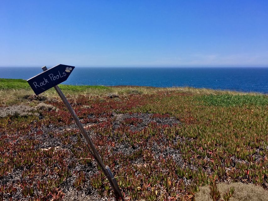 Hiking Tour Along the West Coastline - Hotel pickup and the half-day rhythm in Lisbon District