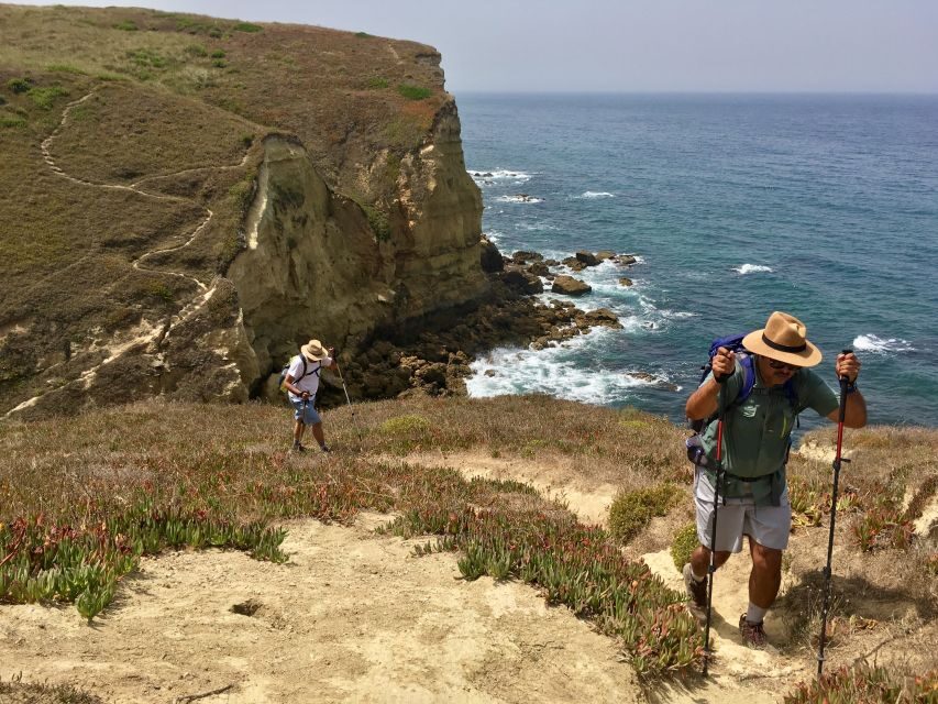 Hiking Tour Along the West Coastline - Arrábida Natural Park walking: plants, wildlife, and the plateau-to-west stretch