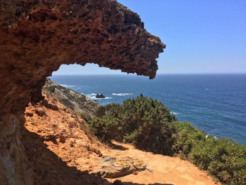Hiking Tour Along the West Coastline - Dinosaur footprints at the finish: the most memorable payoff