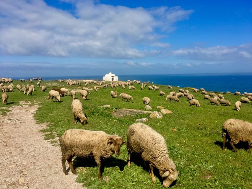 Hiking Tour Along the West Coastline - Cabo Espichel and the west-coast feel you came for