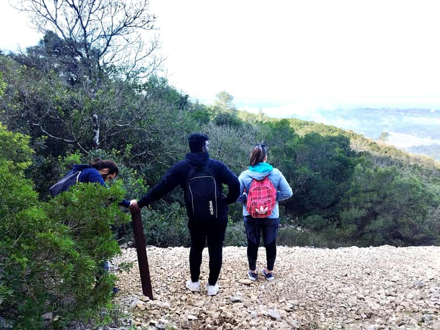 Hiking Tour to the highest point of Arrábida Mountain - Arrábida’s Highest Point: A Big View From a Short Day