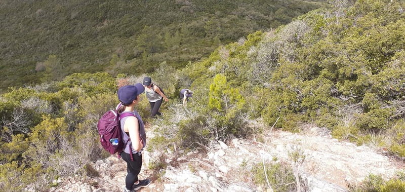 Hiking Tour to the highest point of Arrábida Mountain - Price and Value: Is $106 a Good Deal?