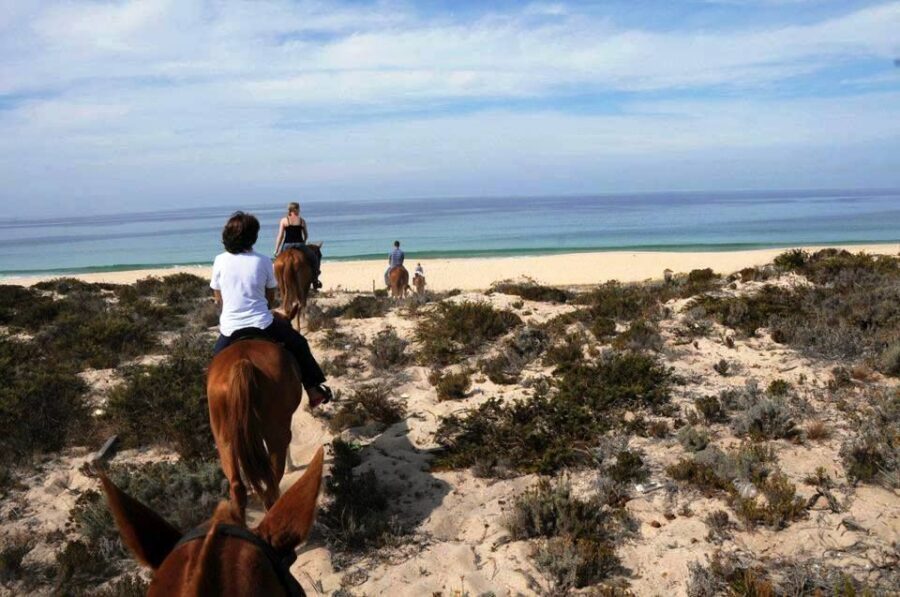 Horse riding on the beach, with private transfer from Lisbon - Key Things You’ll Notice Right Away