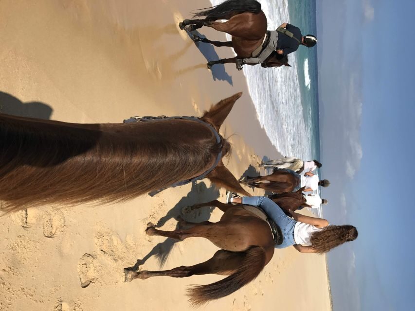 Horse riding on the beach, with private transfer from Lisbon - From Lisbon Pickup to Setúbal Peninsula Views