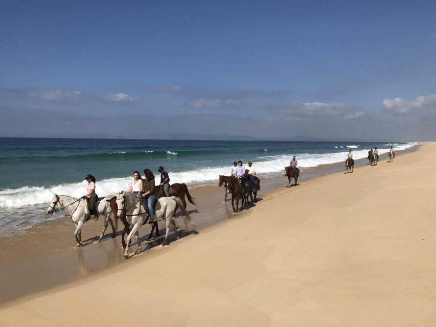 Horse riding on the beach, with private transfer from Lisbon - The Sado Estuary Area and Why the Location Works