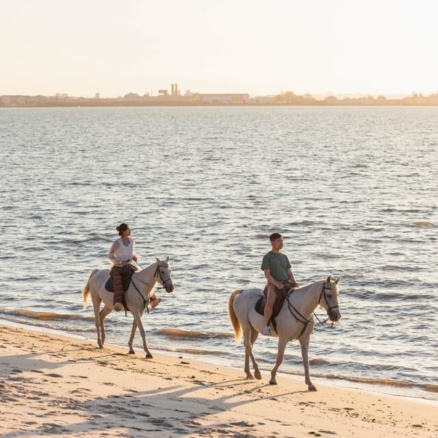 Horseback Riding On The Beach At Sunset - Tagus River at Sunset: the real draw of this beach ride