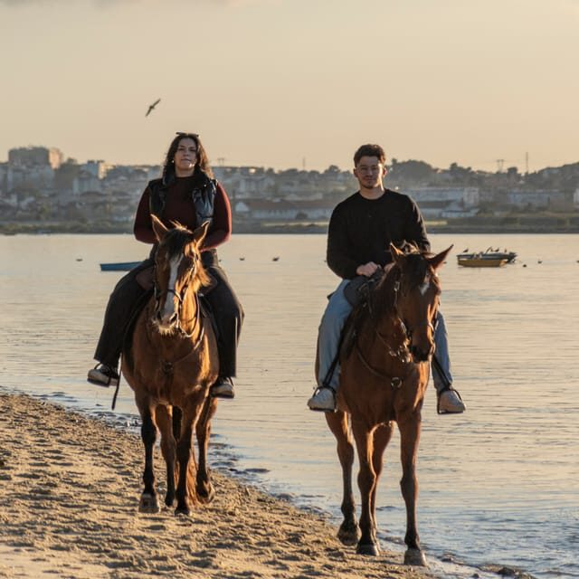 Horseback Riding On The Beach At Sunset - The arena briefing: learning turn, stop, and confidence