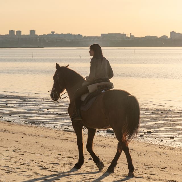 Horseback Riding On The Beach At Sunset - Calm horses and a step-by-step group pace