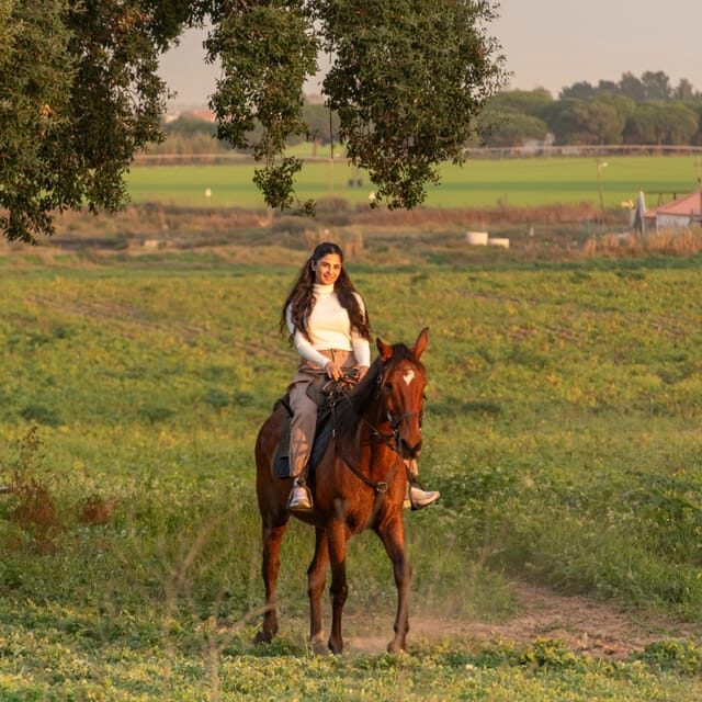Horseback Riding On The Beach At Sunset - Photos and sunset views: plan for angles, not perfection