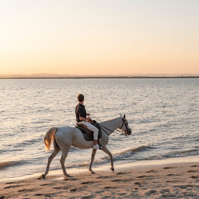 Horseback Riding On The Beach At Sunset - Who this tour fits best (and who should think twice)