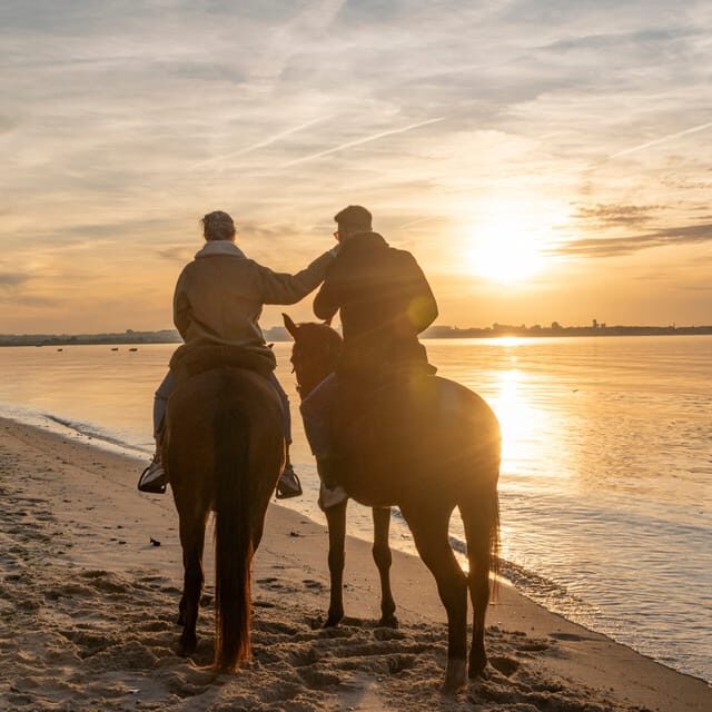 Horseback Riding On The Beach At Sunset - Pátio do Tejo start point: finding the farm and easing in