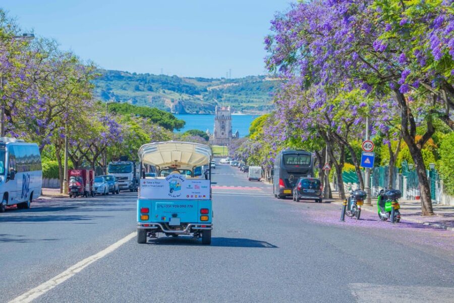 Lisbon: 2h or 4h Private TukTuk Tour with a True Local Guide - Estrela Basilica and the neighborhood-in-between moments