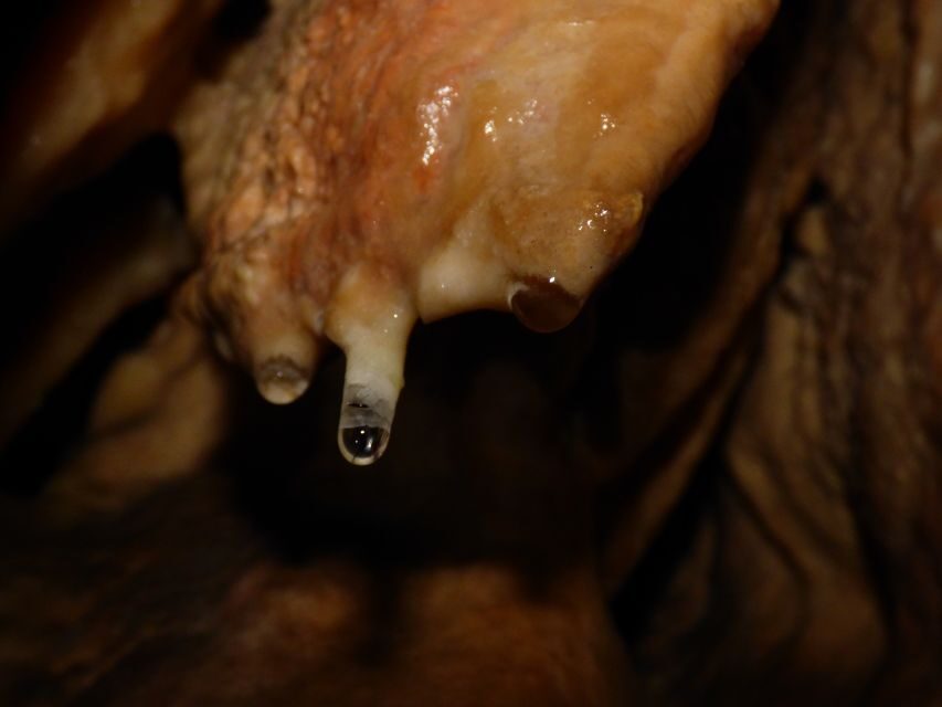 Lisbon: Arrábida Natural Park Cave Tour with Guide - Value at $76: What You Really Get for the Price