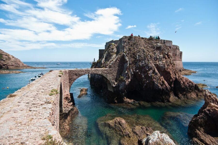 Lisbon: Berlenga Island Full Day Tour - Walking the Reserva Natural das Berlengas: what to expect on the ground