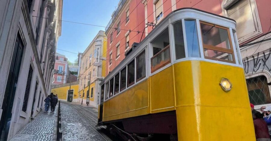 Lisbon: City Tour Alfama, New Town and Belém - First Views That Make the Rest Easier: Eduardo VII Park + Miradouro da Senhora do Monte
