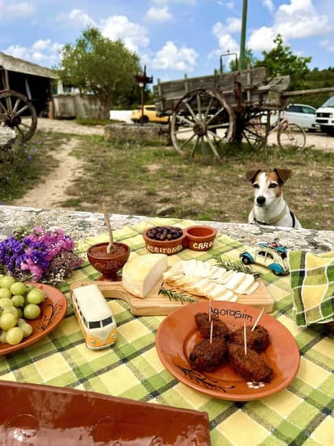 Lisbon Countryside Food Tour on a Vintage Car - The Mountain Waterfall Stop: A Photo Moment With Real Atmosphere
