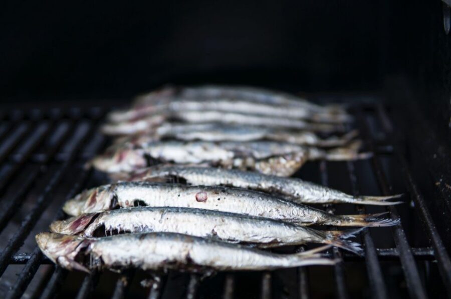 Lisbon: Cruise to the Beach with BBQ, Open Bar and Music - BBQ Lunch on Board: What You Actually Get