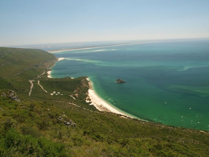 Lisbon: Day Tour of Azeitão, Arrábida, Setúbal, Palmela - Setúbal and Fort São Filipe: a 1582 fort with a reason to climb