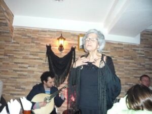 Lisbon Dinner with Fado Show and Sights by Night - Pickup, van size, and timing: the logistics that matter at night