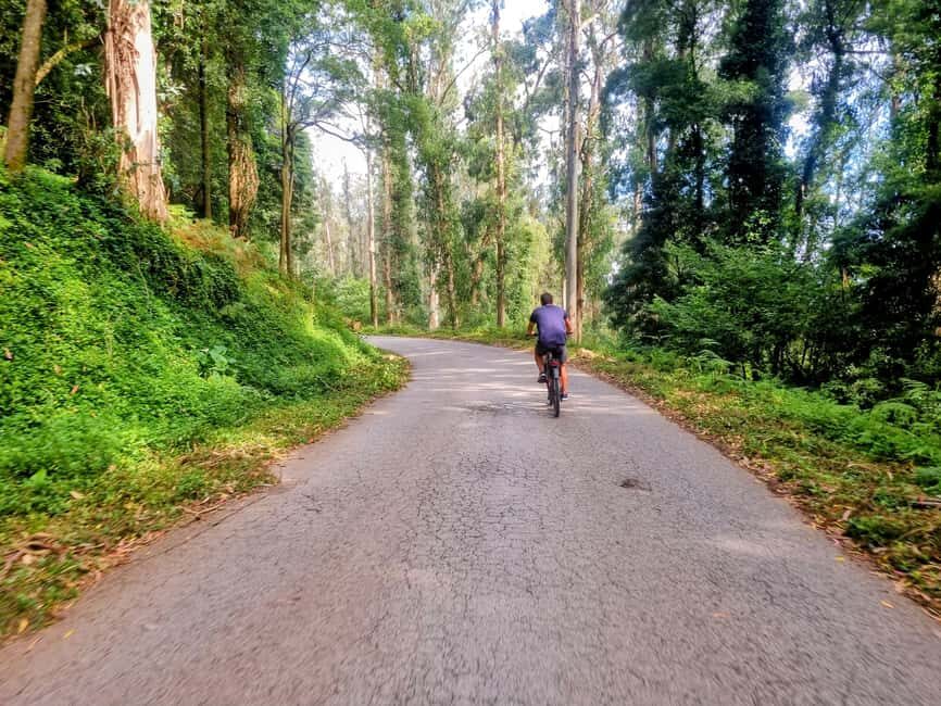 Lisbon: Explore Lisbon’s Green Lung & Belém by E-Bike - Small group pacing and guide languages that actually help
