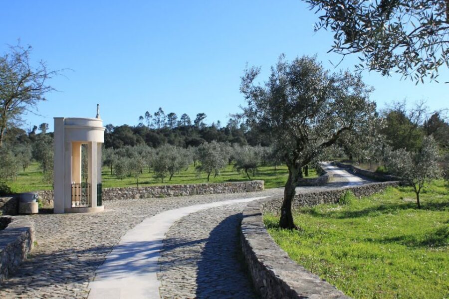 Lisbon Fatima Sanctuary Private Half Day Tour - Key Highlights You’ll Actually Feel