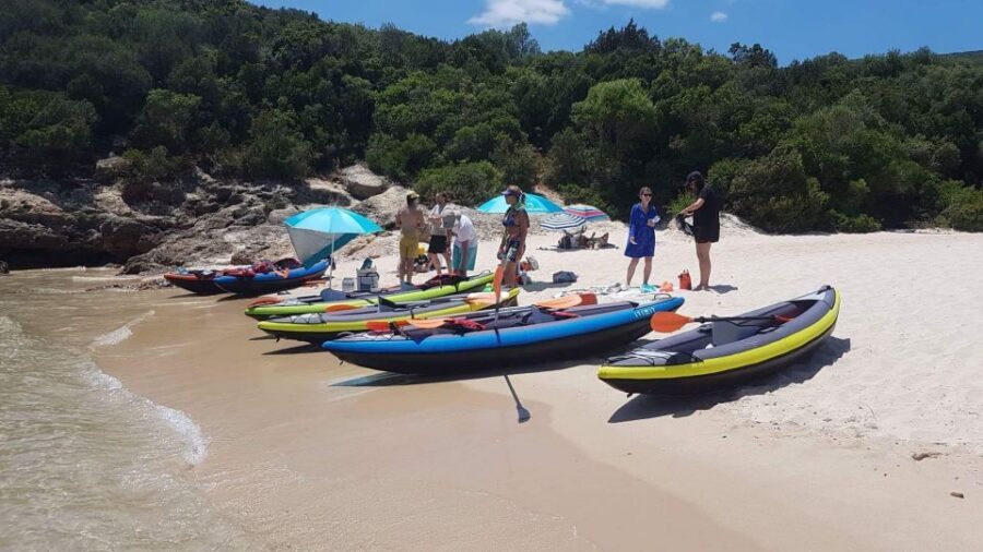 Lisbon: Full-Day Kayak Tour with Picnic and Transfer - Meeting up in central Lisbon and getting your gear sorted