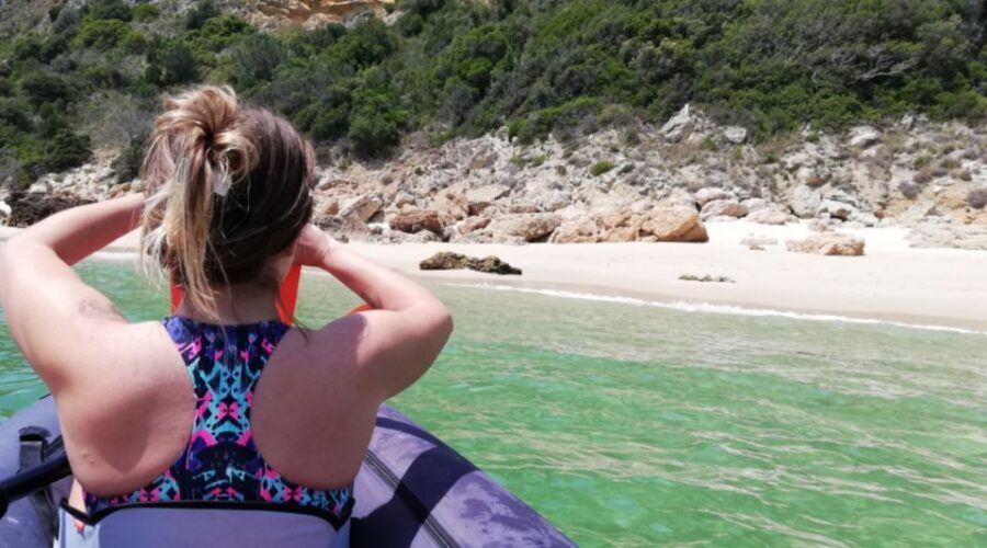 Lisbon: Full-Day Kayak Tour with Picnic and Transfer - Price and value: is $88 a fair deal?