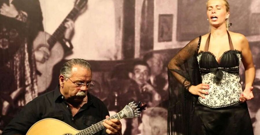 Lisbon: Half-Day Night Group Tour w/ Fado Dinner Show - What You’ll Actually Enjoy Most