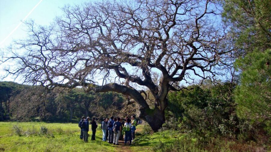Lisbon: Hiking in Arrábida Natural Park - Logistics from Lisbon: how the timing works in 3 to 7 hours