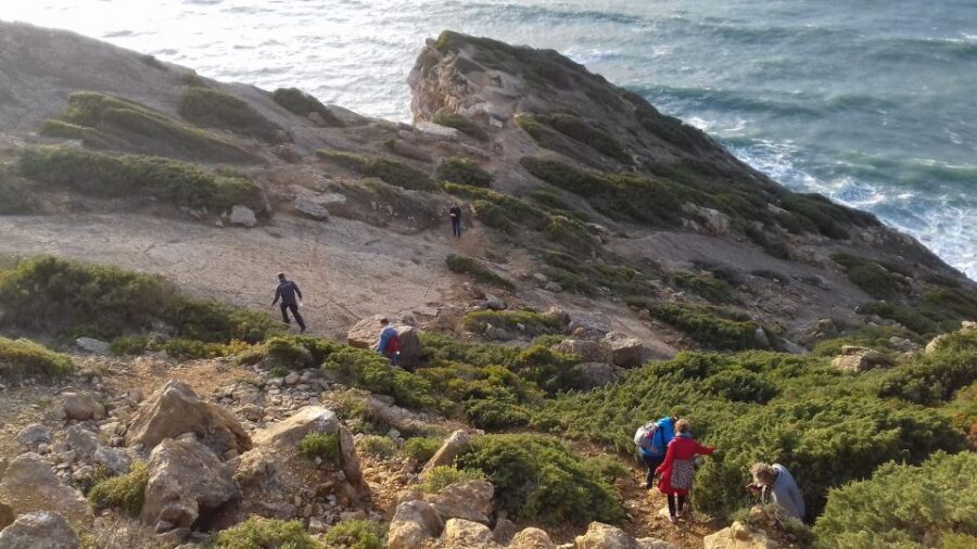 Lisbon: Hiking in Arrábida Natural Park - Price and value: is $47 per person worth it?