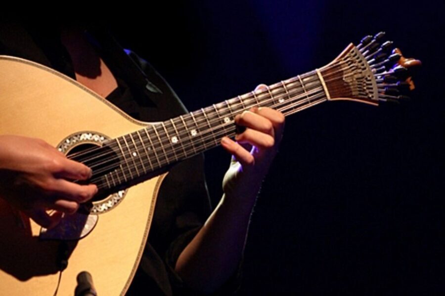 Lisbon: Luxury Fado Tour with Dinner included - The Live Fado Show and Portuguese Dinner Pairing