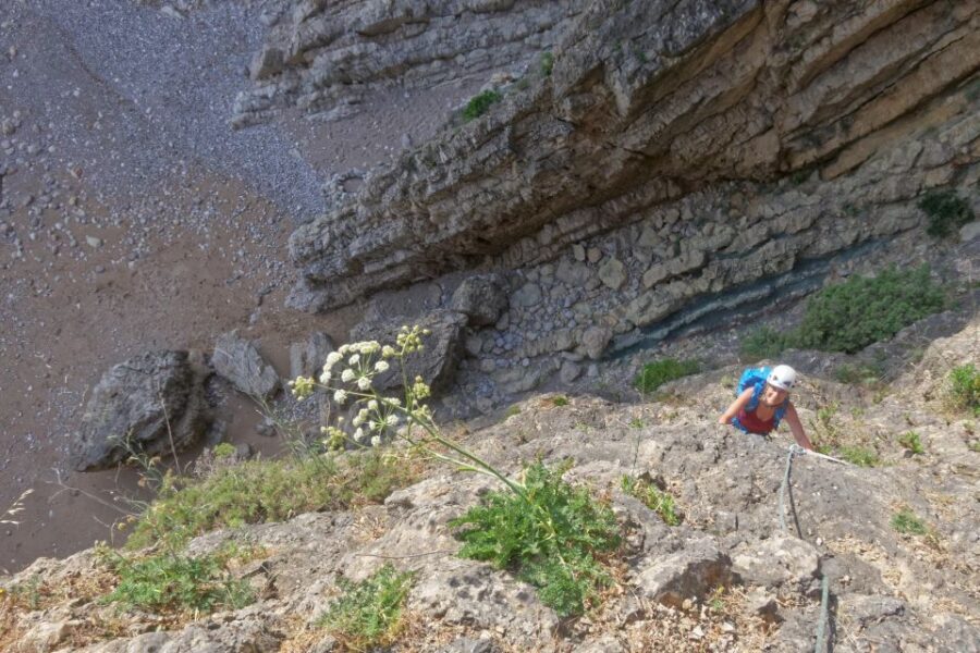 Lisbon or Sesimbra: Guided Rock Climbing Tour in Arrábida - Choosing Your Route: Single-Pitch vs Multi-Pitch