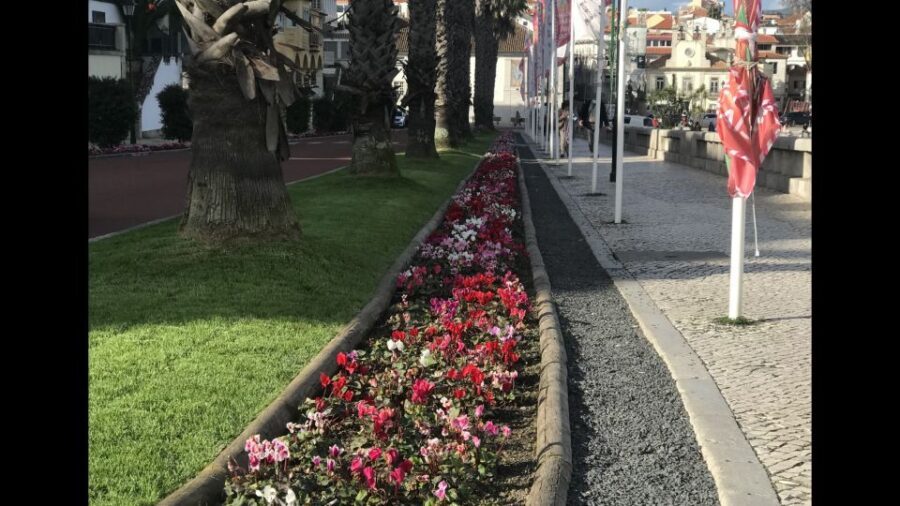 Lisbon: Pena Palace, Sintra, Cascais, and Cabo Roca Day Trip - Key Points You’ll Feel on This Day Trip