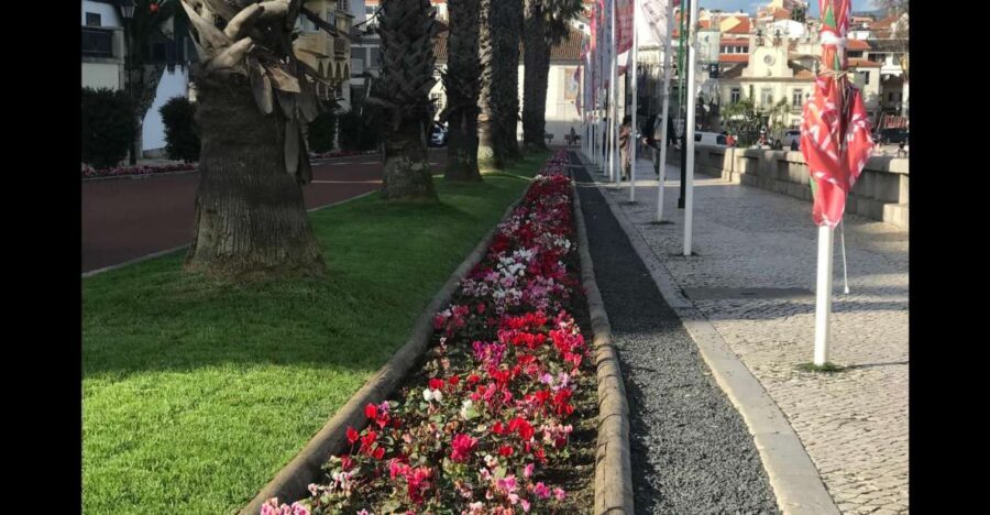 Lisbon: Pena Palace, Sintra, Cascais, and Cabo Roca Day Trip - Sintra Free Time: Shopping Lanes, Pastries, and the Cobblestone Feeling