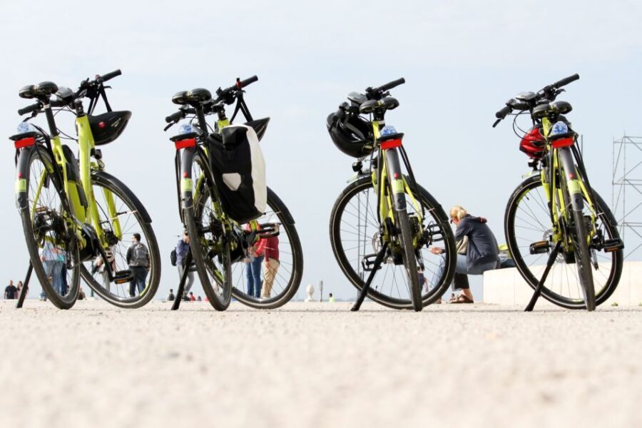Lisbon: Portuguese Petiscos Tasting Tour by E-Bike - Ribeira Market: where chef picks meet real market life