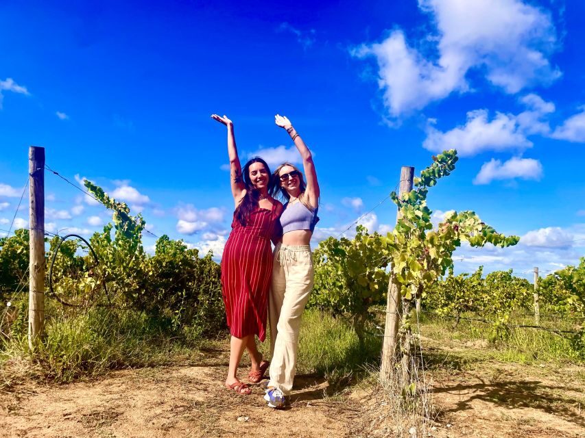 Lisbon: Private All Inclusive Setúbal & Arrábida Wine Tour - Key highlights that make this tour worth your time