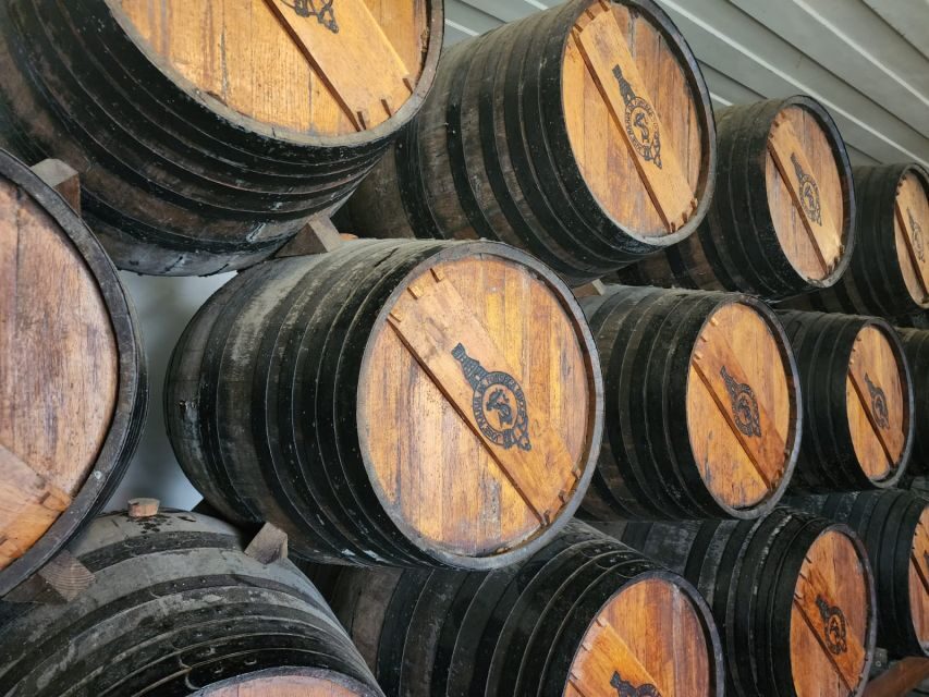 Lisbon: Private All Inclusive Setúbal & Arrábida Wine Tour - Why Setúbal and Arrábida make a better wine day than Lisbon-only tours