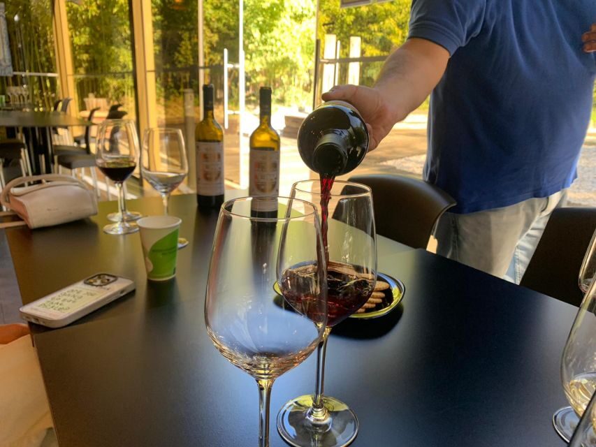 Lisbon: Private All Inclusive Setúbal & Arrábida Wine Tour - Lunch in Azeitão: plan for flavor, and budget for the meal