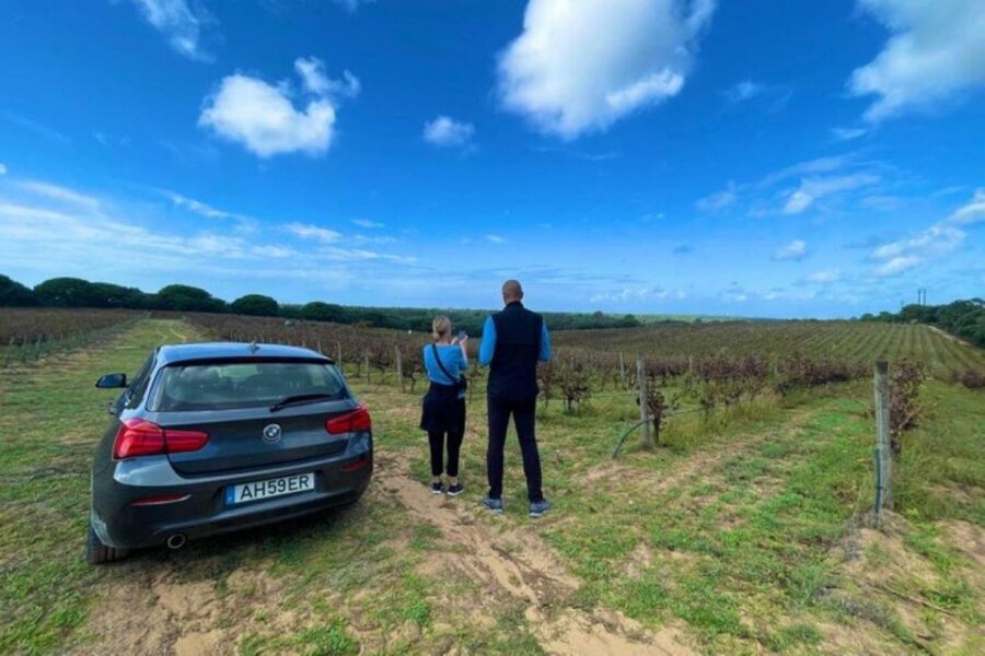 Lisbon: Private Full Day Evora & Alentejo Wine Tour - Cortiçarte and the cork story: how production meets design