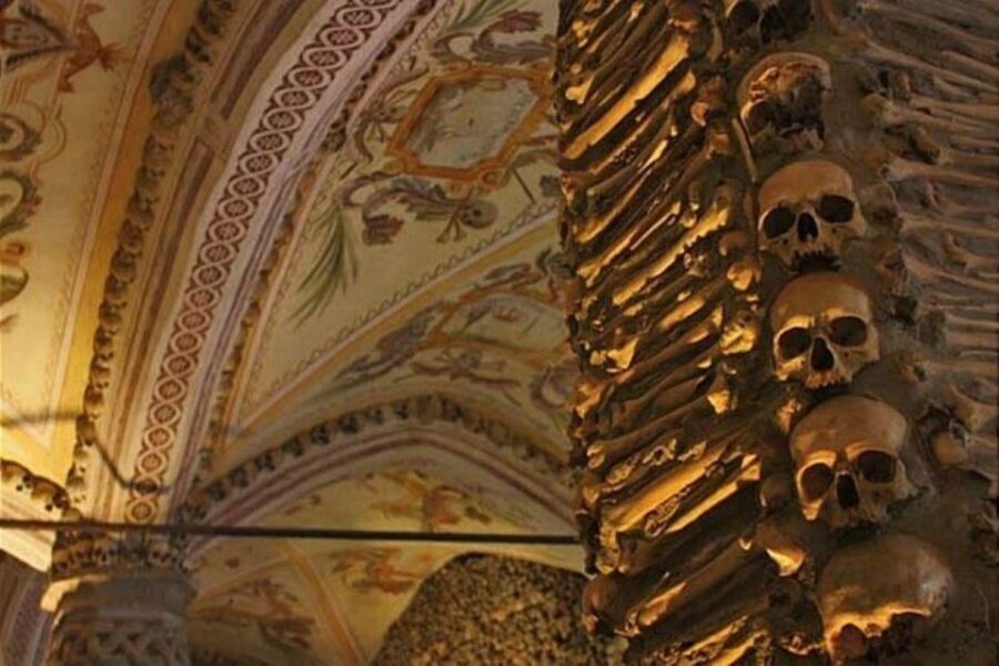 Lisbon: Private Full Day Evora & Alentejo Wine Tour - Your guide and driver can make or break the day