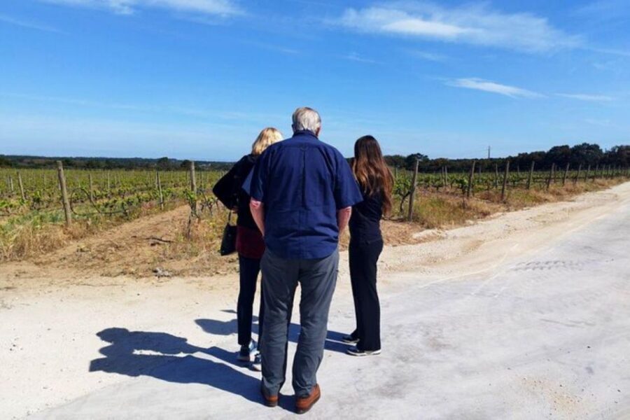 Lisbon: Private Full Day Evora & Alentejo Wine Tour - Price and logistics: is $351 worth it for a private group?
