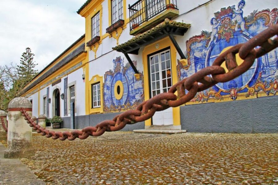 Lisbon: Private Full-Day Wine Tasting Tour in a premium car - Azeitão Wine Country in One Private Day