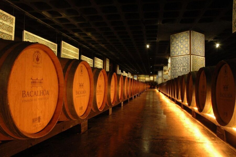 Lisbon: Private Full-Day Wine Tasting Tour in a premium car - Lunch in Azeitão: Free Time You Can Use Like a Local