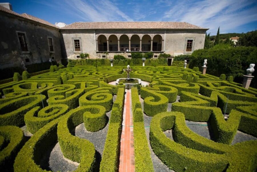 Lisbon: Private Full-Day Wine Tasting Tour in a premium car - Price and Value: What $170 Per Person Buys You